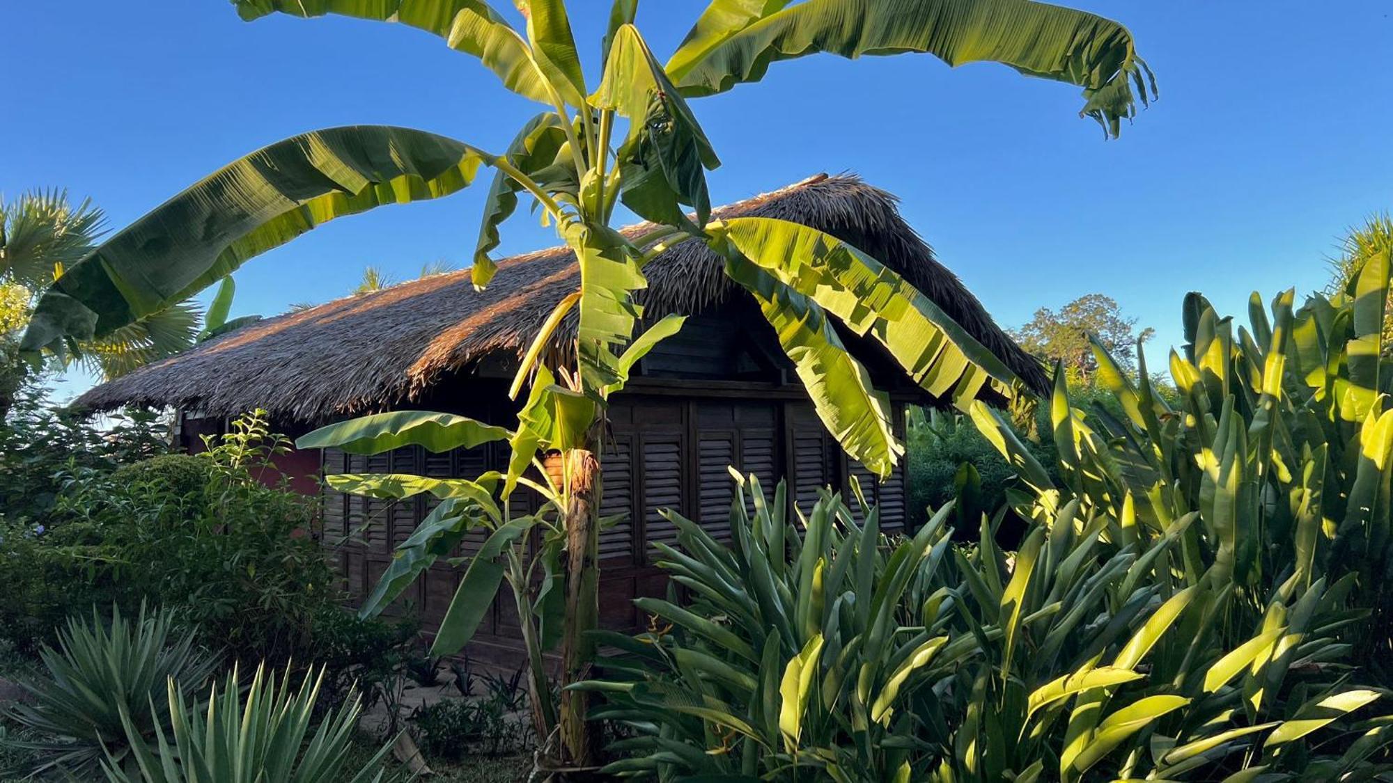 Manga Soa Lodge Fascene - Befefika Esterno foto